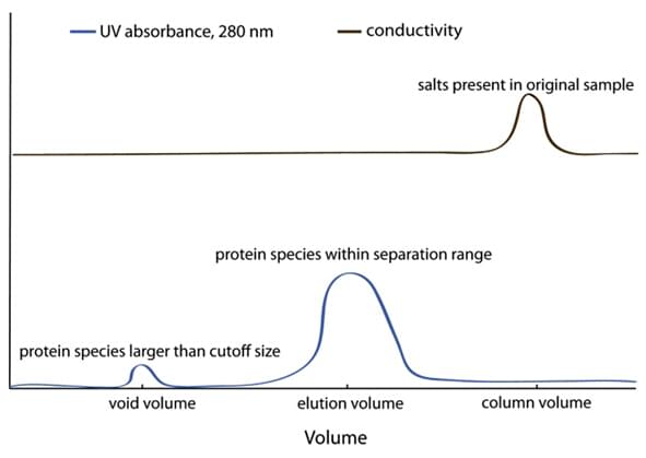 Enzyme Purification by Size Exclusion (SEC) and Gel Filtration (GF)