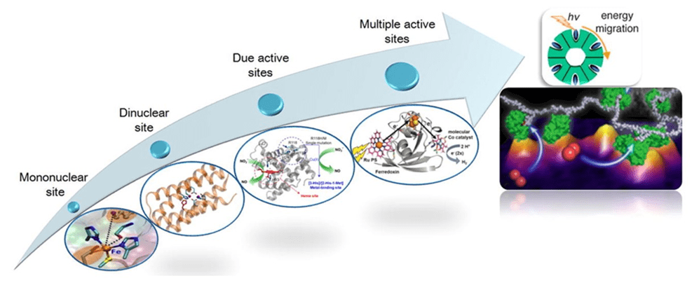 Examples of methods for in vivo targeted mutagenesis