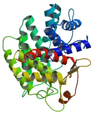 Enzyme Activity Measurement for Unsaturated Rhamnogalacturonyl Hydrolase