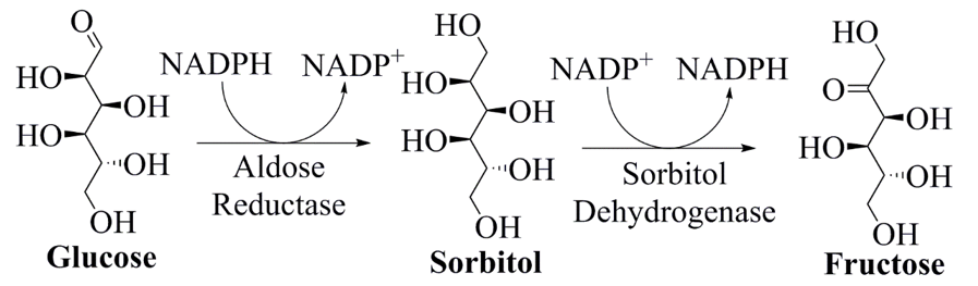 SDH