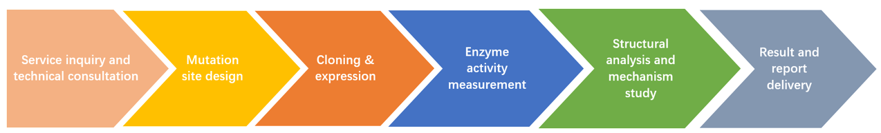 Site-directed mutagenesis workflow