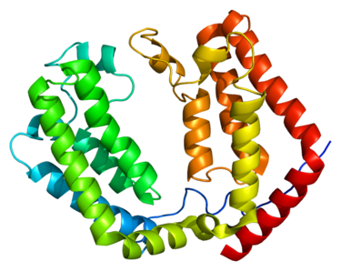 Protein structure of TAF1