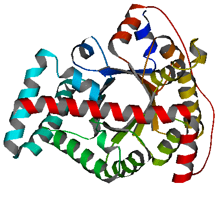 Structure of Transaldolase.