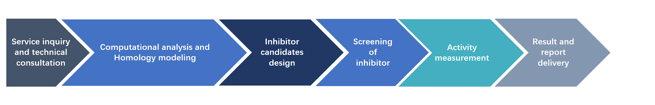 Workflow of structure-based inhibitor design