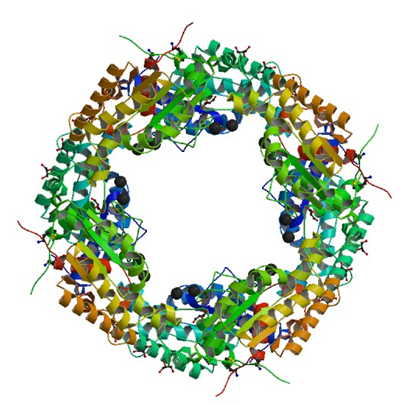 Enzyme Activity Measurement for Acetylxylan Esterase