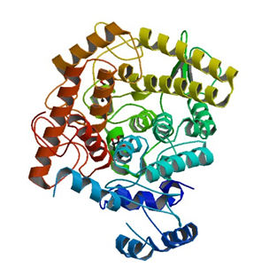 Enzyme Activity Measurement of Alpha, Alpha-Trehalase