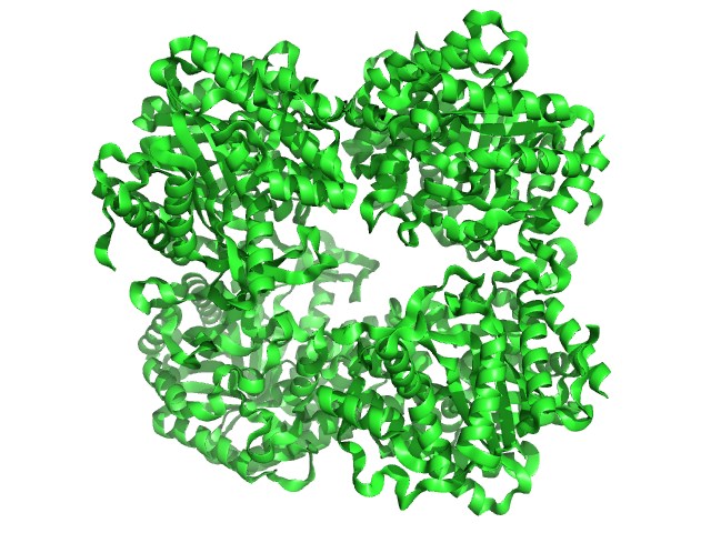 Enzyme structure of β-Glucosidase.