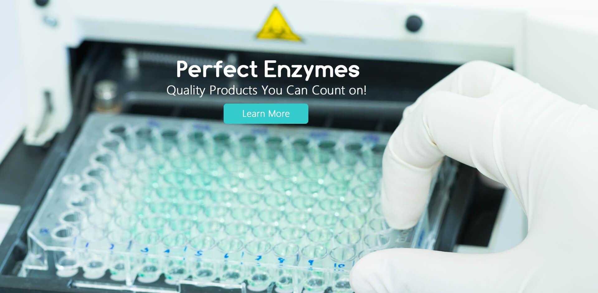 Enzyme, Zymogen, Coenzyme Creative Enzymes