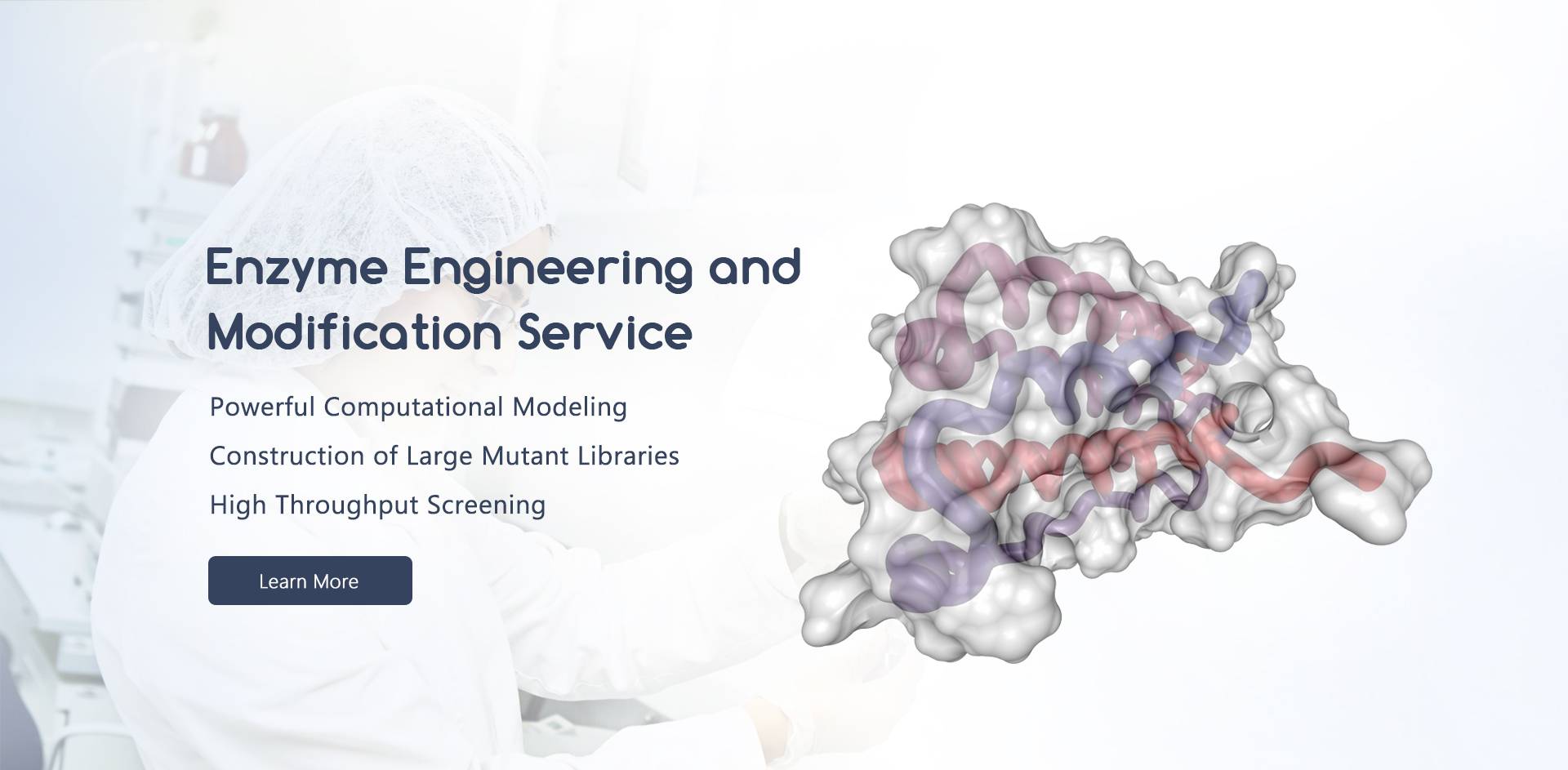 Enzyme, Zymogen, Coenzyme Creative Enzymes