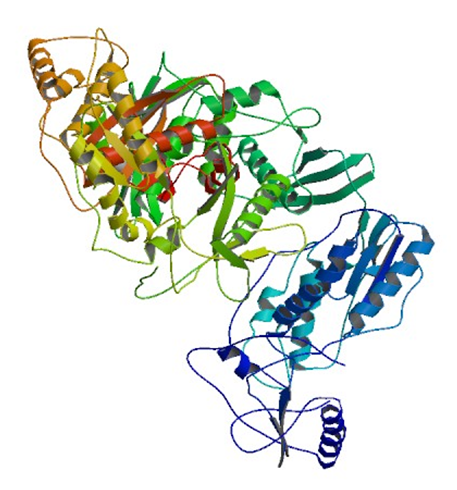 Enzyme Activity Measurement for RNA-Directed DNA Polymerase