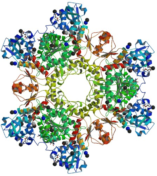 Enzyme Activity Measurement for Sulfate Adenylyltransferase