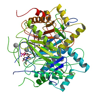 Enzyme Activity Measurement for UDP-Glucose-Hexose-1-Phosphate Uridylyltransferase