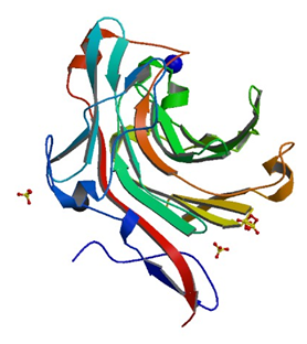 Enzyme Activity Measurement for Beta-Agarase