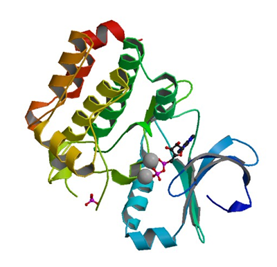 Enzyme Activity Measurement for Non-Specific Serine/Threonine Protein Kinase
