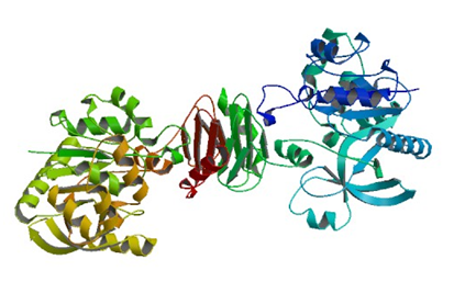 Enzyme Activity Measurement for Mannose-1-Phosphate Guanylyltransferase