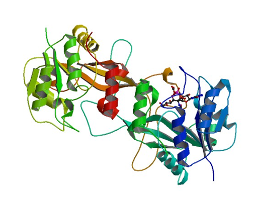 Enzyme Activity Measurement for N-Acylneuraminate Cytidylyltransferase