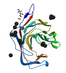 The crystal structure of κ-carrageenase from P. carrageenovora