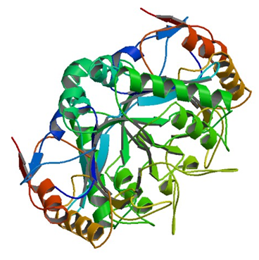 The crystal structure of endo-beta-N-acetylglucosaminidase H from Streptomyces plicatus