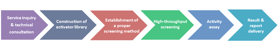 Enzyme Activators Screening Services Workflow