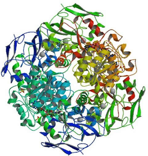 Enzyme Activity Measurement for Formaldehyde Dehydrogenase