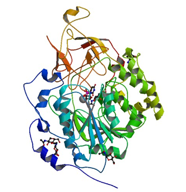 Enzyme Activity Measurement of Polypeptide N-Acetylgalactosaminyltransferase