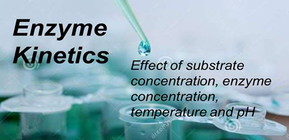 Enzyme Kinetics