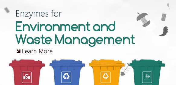 Environment and Waste Management