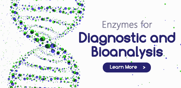 Enzymes in Biotechnology