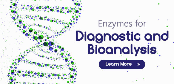 Enzyme for Antibody Research