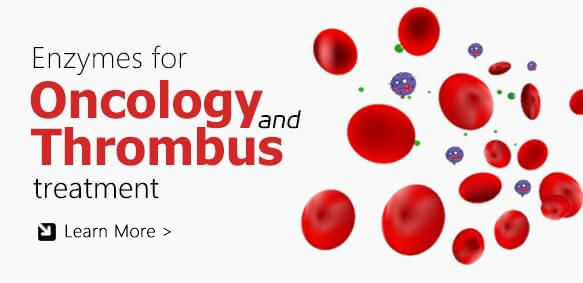 Enzymes for Oncology and Thrombus Treatment