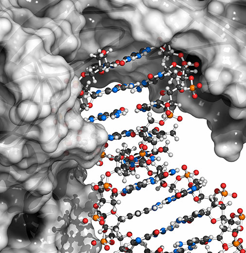 Enzyme Discovery