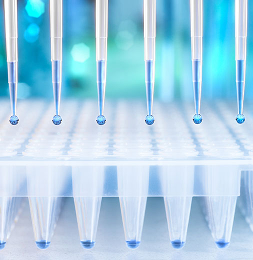 Enzymology Assays