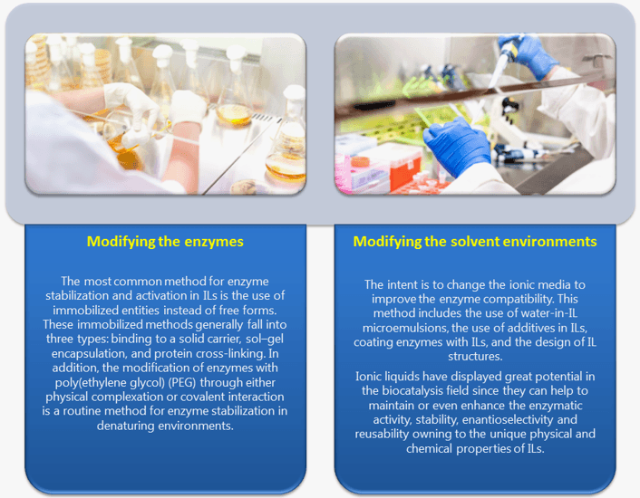 Enzyme Stabilization by Ionic Liquids or Polymers