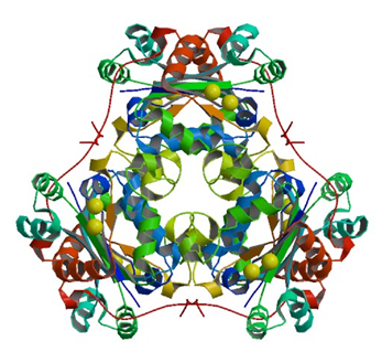 Enzyme Activity Measurement for Nucleoside-Diphosphate Kinase