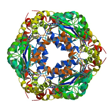 Enzyme Activity Measurement for Guanylate Kinase