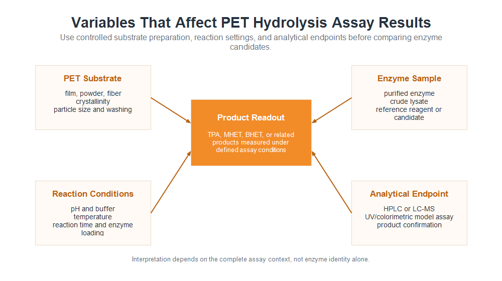 Experimental variables that affect PET hydrolysis assay results