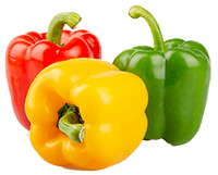 Capsicum Extract