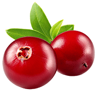 Cranberry extract