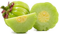 Garcinia Cambogia Extract