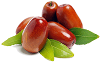 Jujube Seed Extract