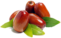 Jujube extract