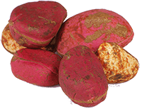 Kola Nut Extract (Ratio)