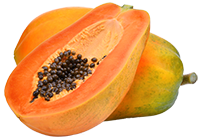 Papaya Seed Extract