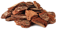 Pine Bark Extract