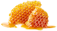 Propolis Extract