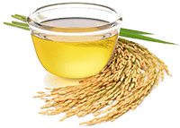 Rice Bran Extract