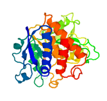 Enzyme Activity Measurement for D-Malate Dehydrogenase (Decarboxylating) Using Spectrophotometric Assays