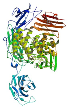 Enzyme Activity Measurement for Alpha-L-Rhamnosidase 