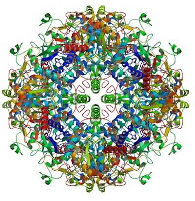 Enzyme Activity Measurement for Alcohol Oxidase