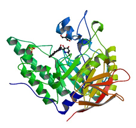 Enzyme Activity Measurement of Alpha-L-Fucosidase